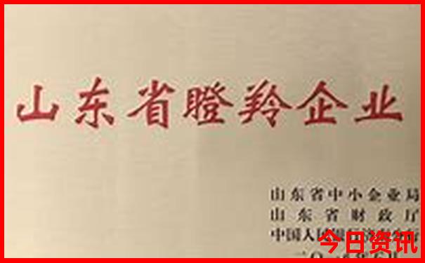 76年龙男最佳妻子